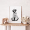 Poster - Irish Soft Coated Wheaten Terrier
