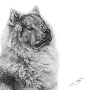 Eurasier