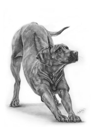 Rhodesian Ridgeback Art Base Rhodesian Ridgeback – Art For Animals