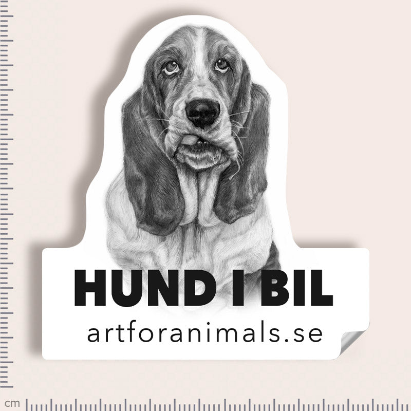 Bildekal - Basset