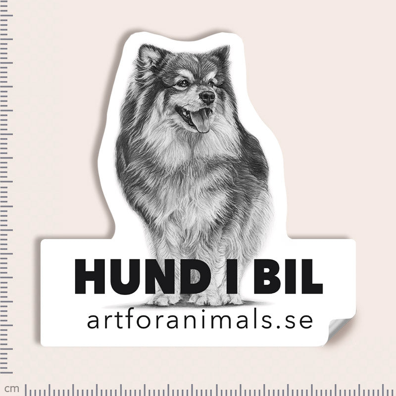 Bildekal - Finsk Lapphund