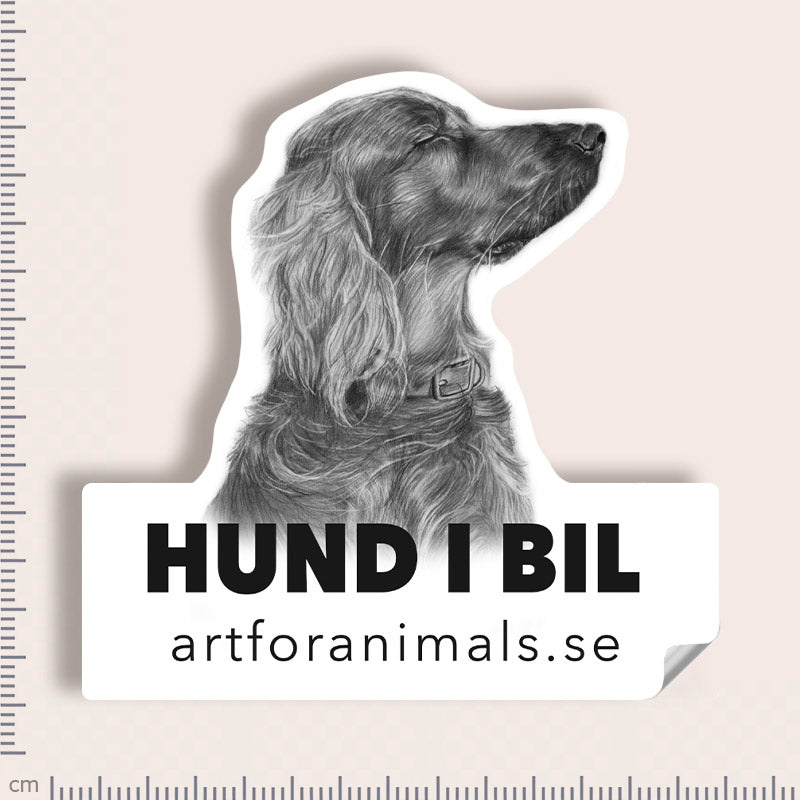 Bildekal - Irländsk Röd Setter