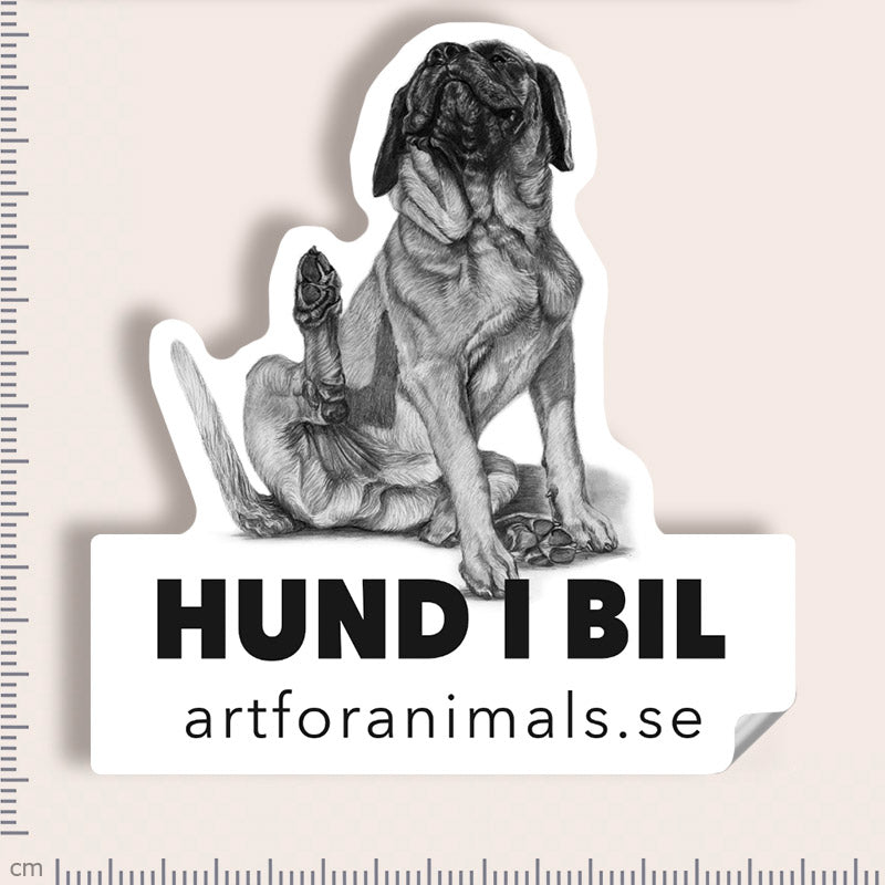 Bildekal - Mastiff