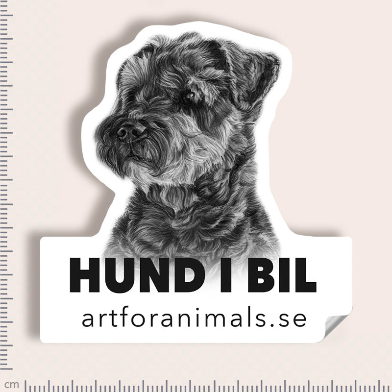 Bildekal - Dvärgschnauzer