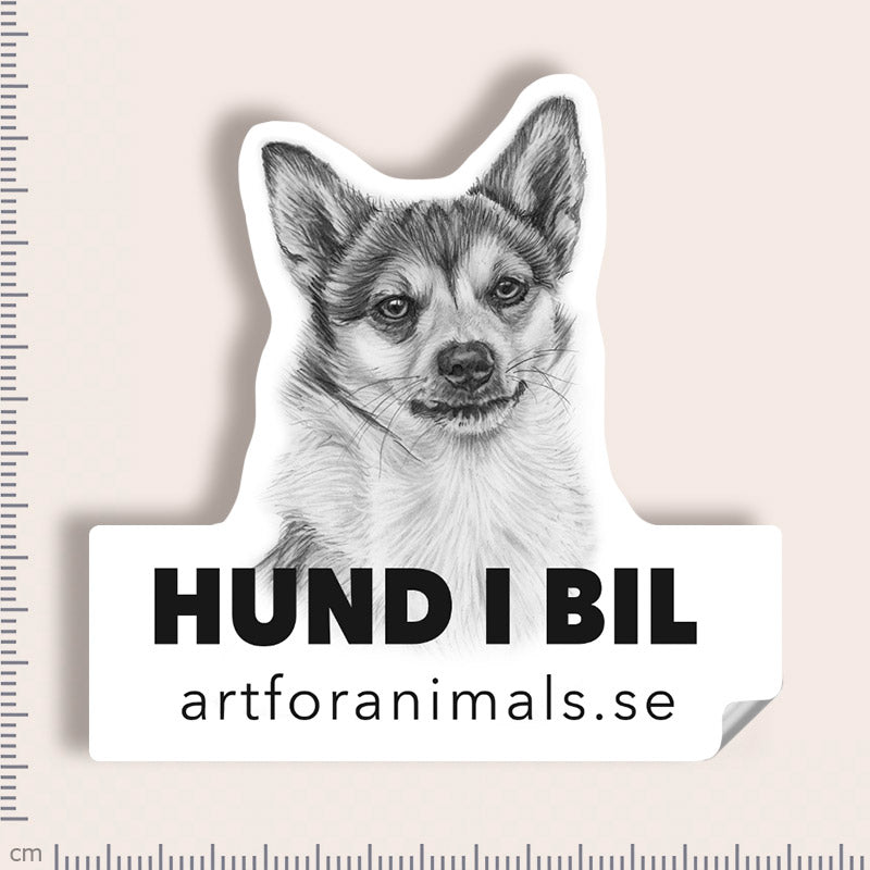 Bildekal - Norsk Lundehund