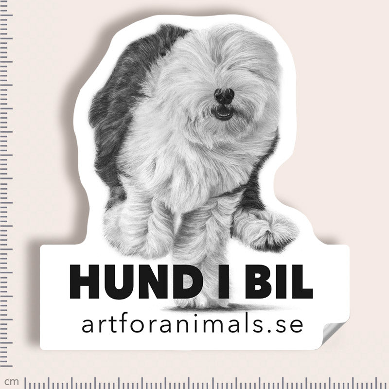 Bildekal - Old English Sheepdog