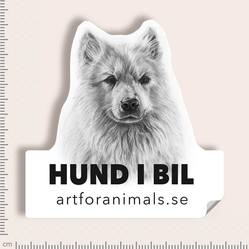 Bildekal - Samojed
