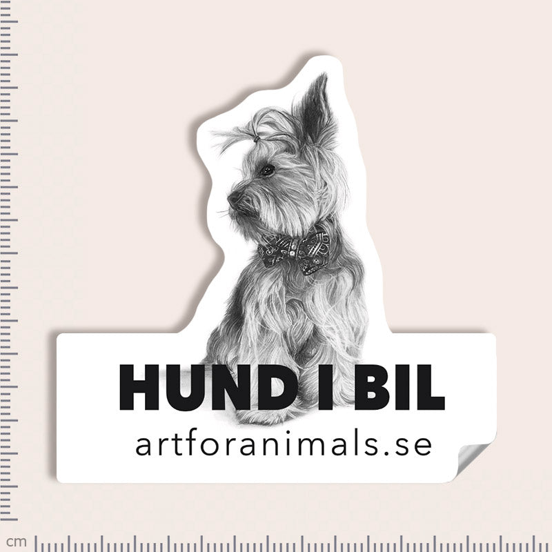 Bildekal - Yorkshire Terrier