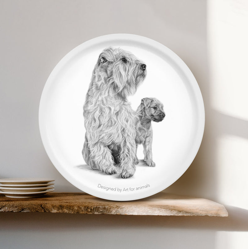 Bricka - Irish Soft Coated Wheaten Terrier