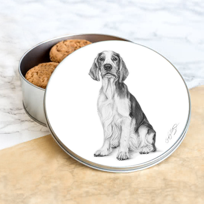 Metallburk - Welsh Springer Spaniel