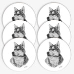 Glasunderlägg - Siberian Husky