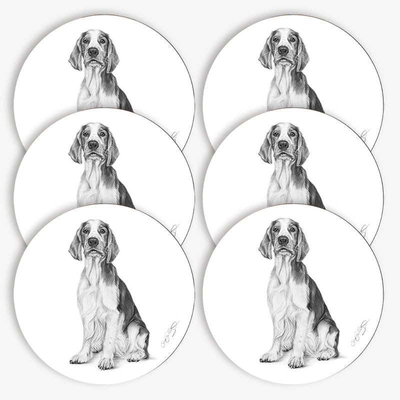 Glasunderlägg - Welsh Springer Spaniel