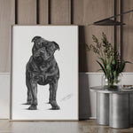 Poster - Staffordshire Bullterrier