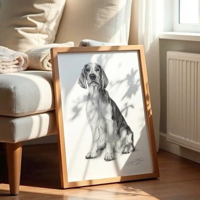 Poster - Welsh Springer Spaniel
