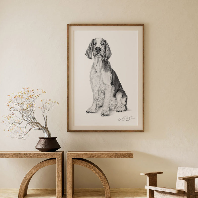Poster - Welsh Springer Spaniel