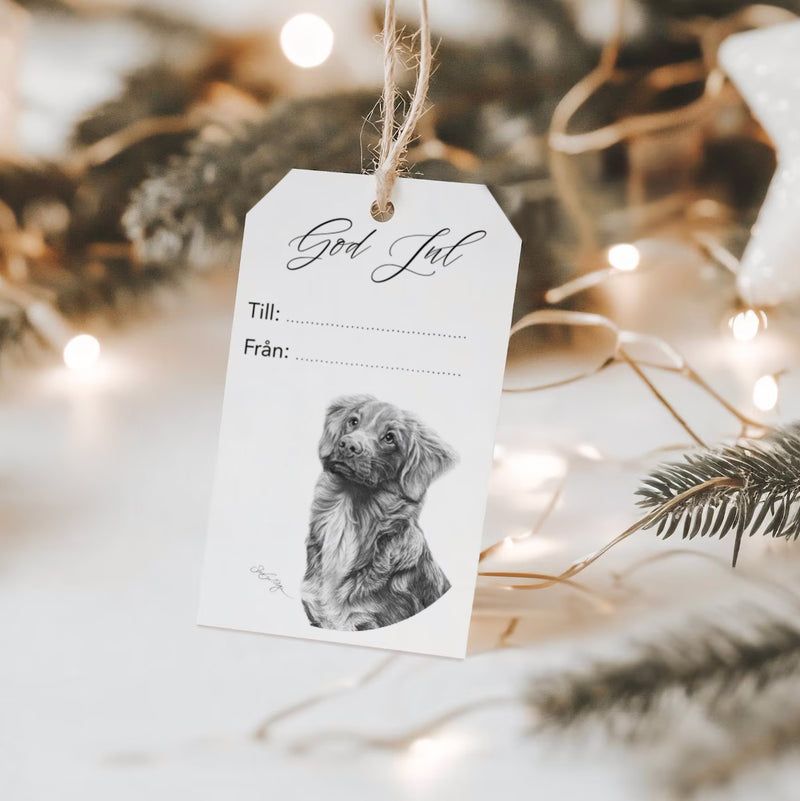 Juletikett - Nova Scotia Duck Tolling Retriever