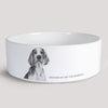 Keramikskål / Hundskål - Welsh Springer Spaniel