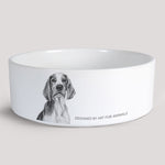 Keramikskål / Hundskål - Welsh Springer Spaniel