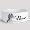 Keramikskål / Hundskål - Welsh Springer Spaniel