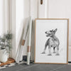 Poster - Bullterrier