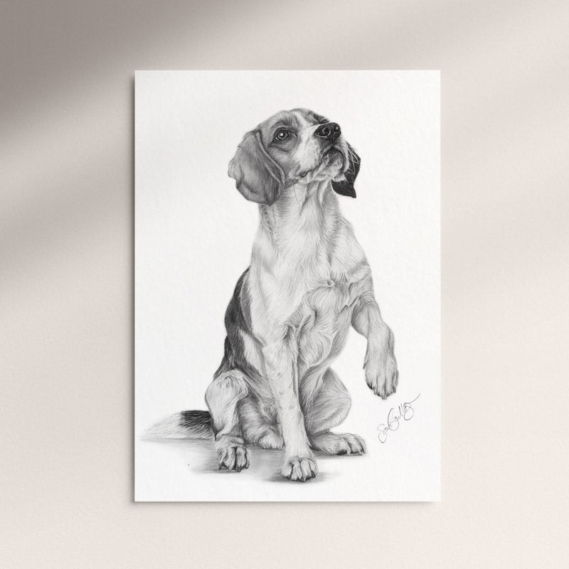 Poster - Beagle