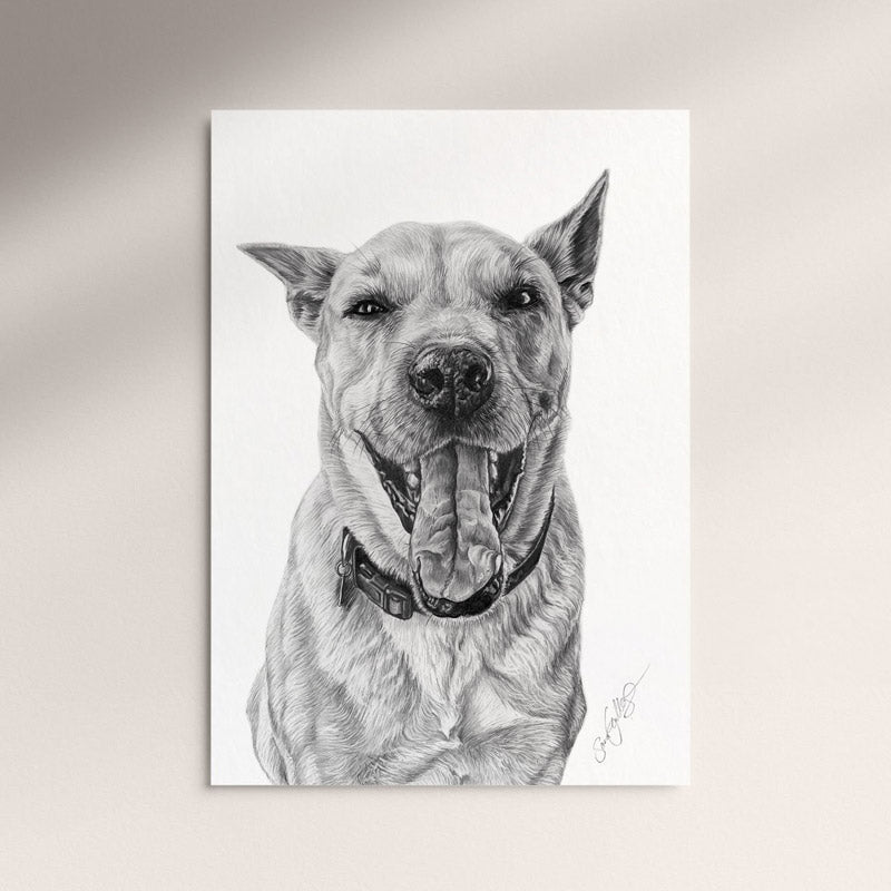 Poster - Blandras