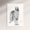 Poster - Borzoi