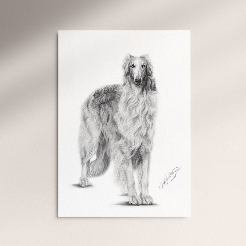 Poster - Borzoi