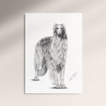 Poster - Borzoi
