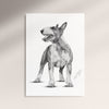 Poster - Bullterrier