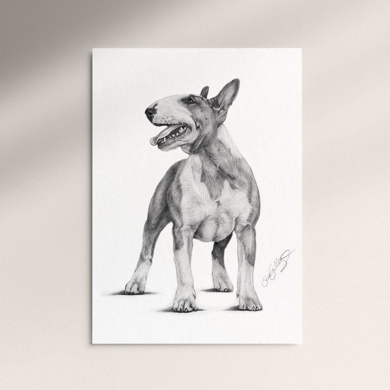 Poster - Bullterrier