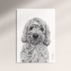 Poster - Cockerpoo