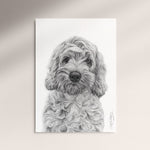 Poster - Cockerpoo