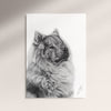 Poster - Eurasier