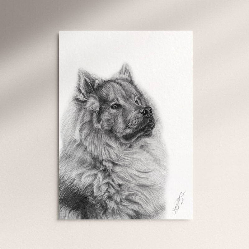 Poster - Eurasier