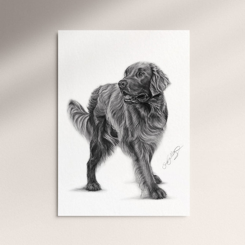 Poster - Flatcoated Retriever