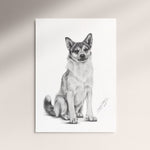 Poster - Norsk Lundehund