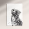 Poster - Nova Scotia Duck Tolling Retriever
