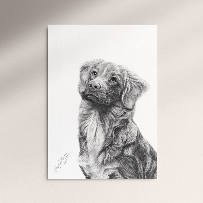 Poster - Nova Scotia Duck Tolling Retriever