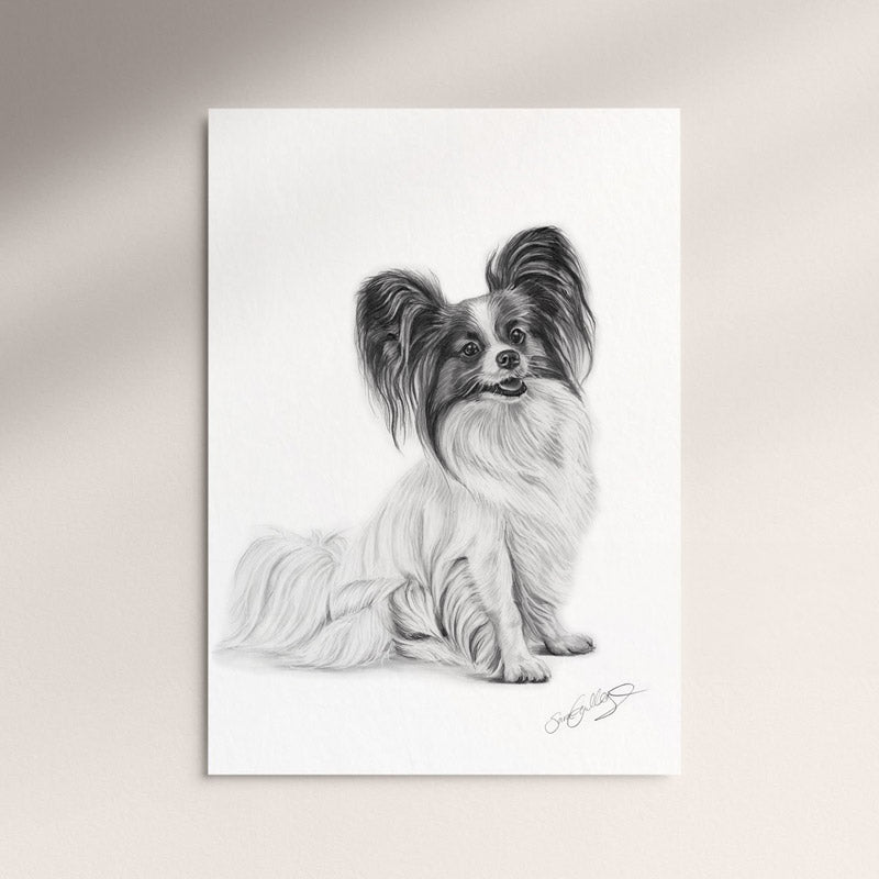 Poster - Papillon