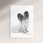 Poster - Papillon