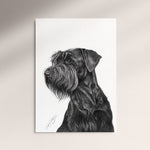Poster - Riesenschauzer