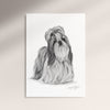 Poster - Shih Tzu