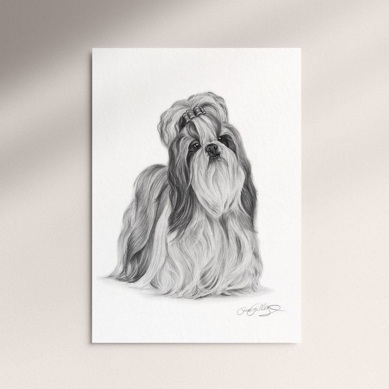 Poster - Shih Tzu