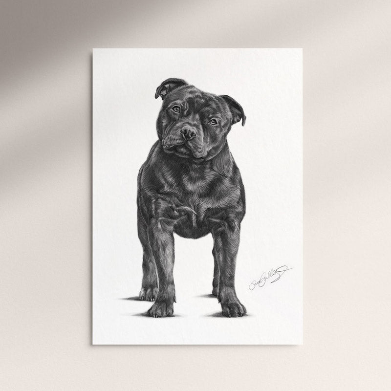 Poster - Staffordshire Bullterrier