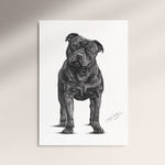Poster - Staffordshire Bullterrier