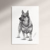 Poster - Västgötaspets