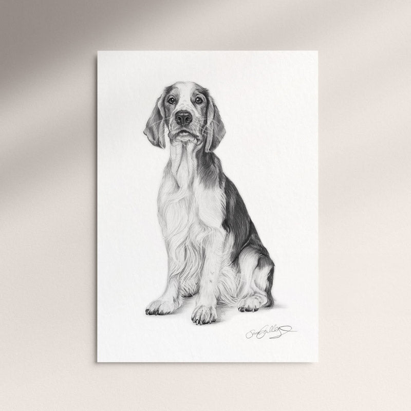 Poster - Welsh Springer Spaniel