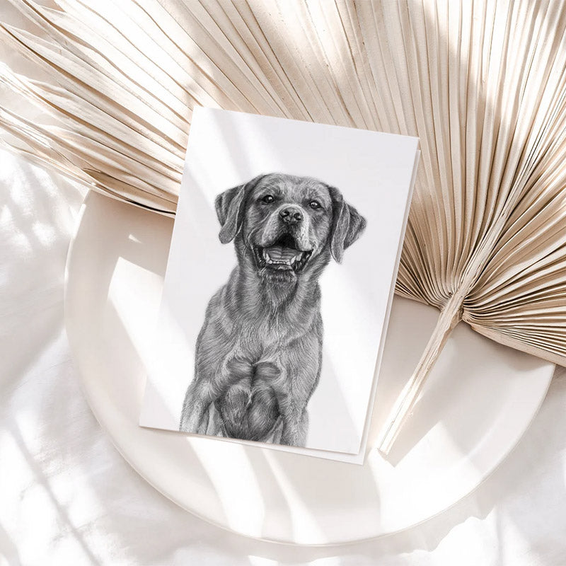 Vykort - Labrador Retriever