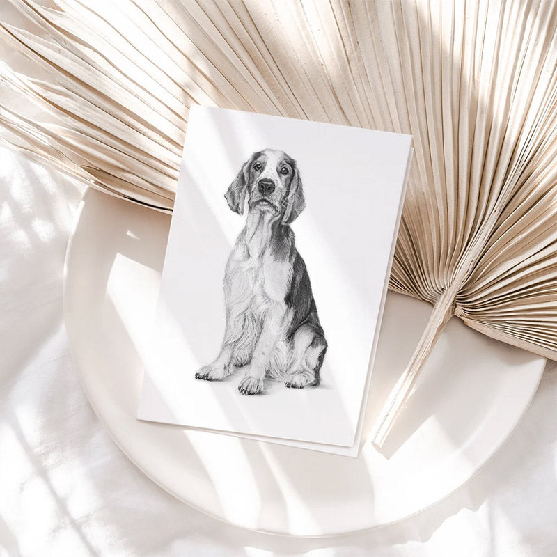 Vykort - Welsh Springer Spaniel